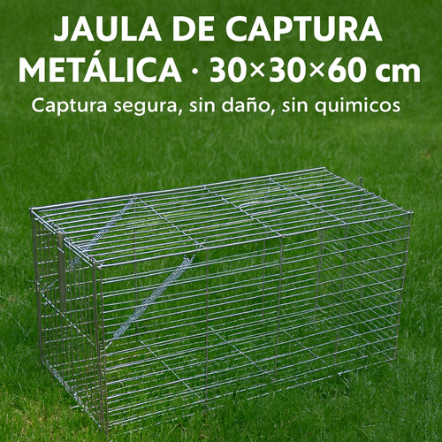 jaula de captura gatos comadrejas